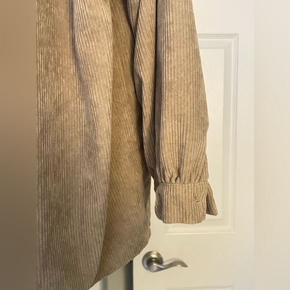 CORDUROY BOTTO DOWN - Picture 3 of 6